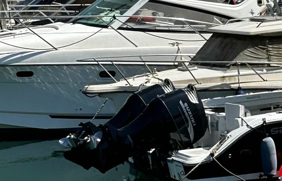 Sea Fox 256 Polaco
