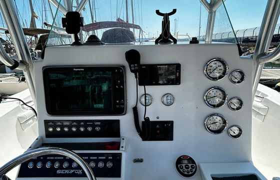 Sea Fox 256 Polaco