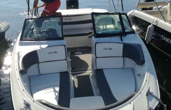 Sea Ray 19 SPX 00