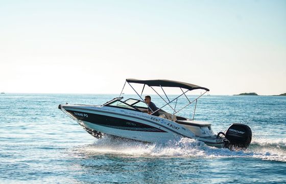 Sea Ray 19 SPX 00