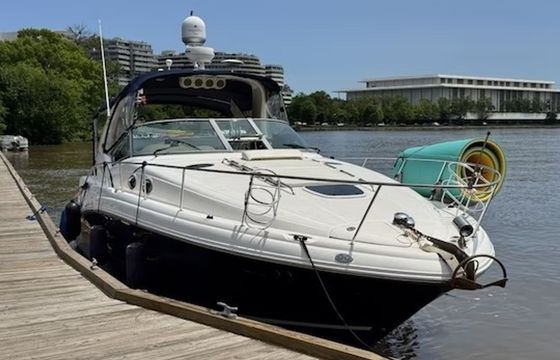 Sea Ray Sundancer 390 Keula Binelly