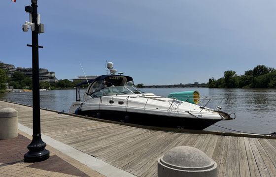 Sea Ray Sundancer 390 Keula Binelly