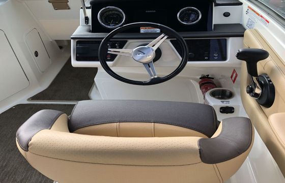 Sea Ray 19 SPX OB White
