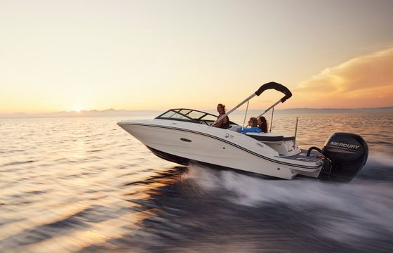 Sea Ray 19 SPX OB White