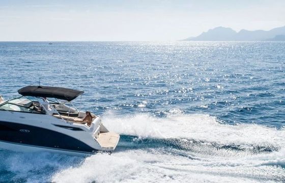 Sea Ray 265 Aimilianos