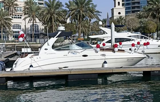 Sea Ray 280 Farhan
