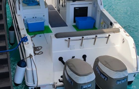Silvercraft 36HT Panther