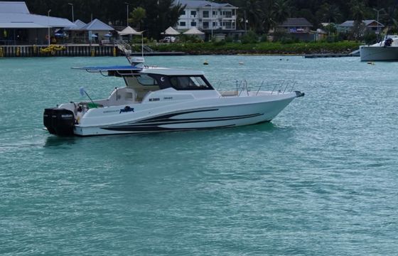 Silvercraft 36HT Panther