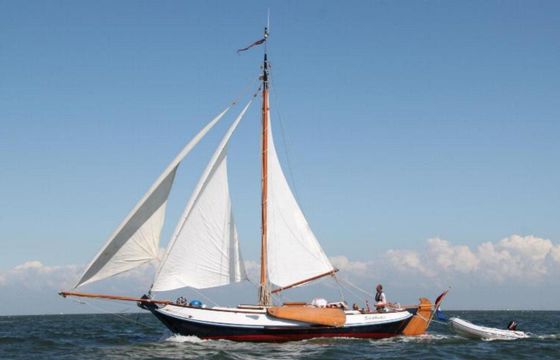 Schokker 11.11 Schokbreker