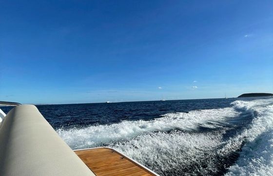 Sealine S335 Le Chiffre