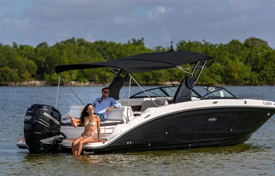 Sea Ray 290 Creed