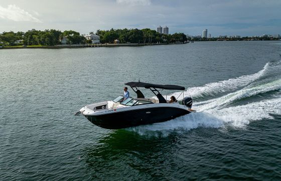 Sea Ray 290 Creed