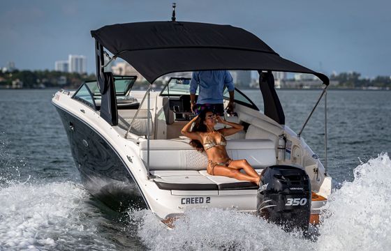 Sea Ray 290 Creed