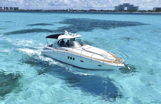 Sea Ray 370 White