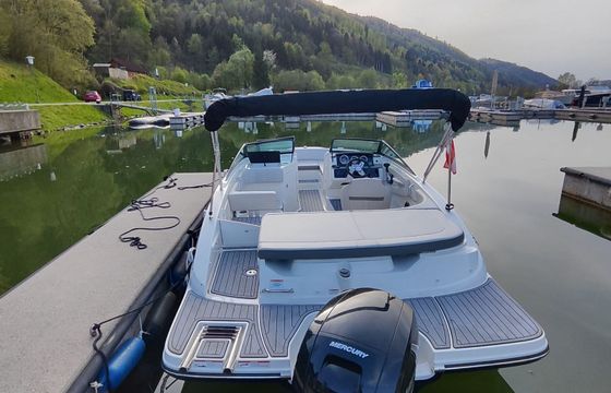 Sea Ray 190 SPX Osterreich