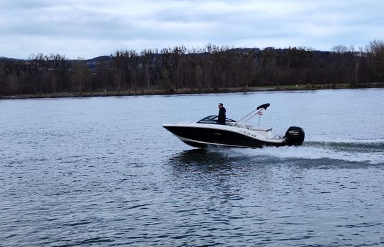 Sea Ray 190 SPX Osterreich