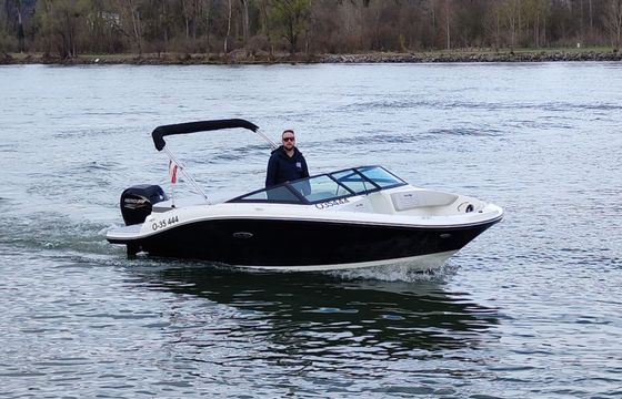 Sea Ray 190 SPX Osterreich