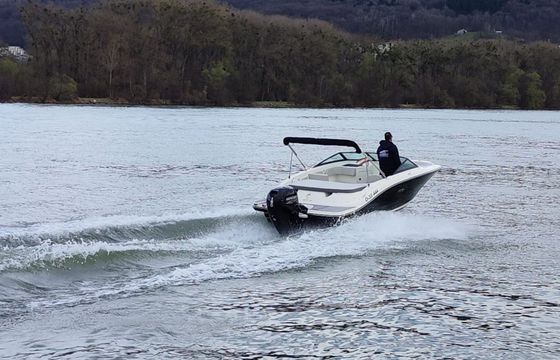 Sea Ray 190 SPX Osterreich