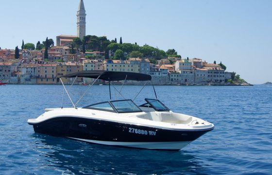 Sea Ray 210 Black Diamond 1