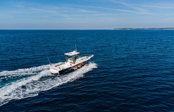 Sport Craft 252 Dr.Dentex