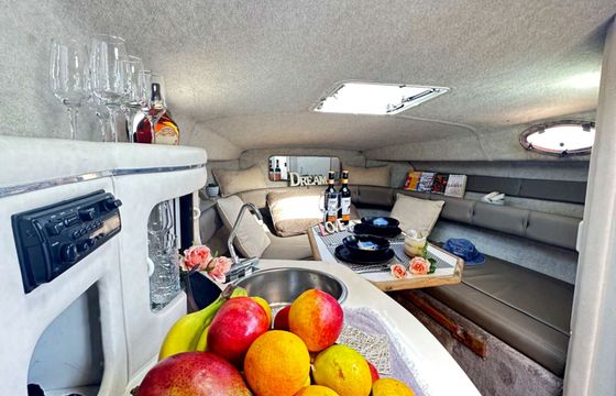 Sea Ray 250 Cordelia
