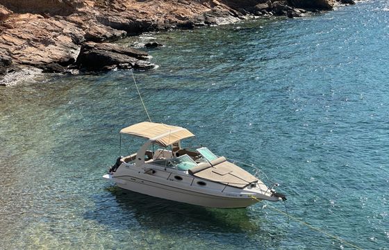 Sea Ray 250 Cordelia