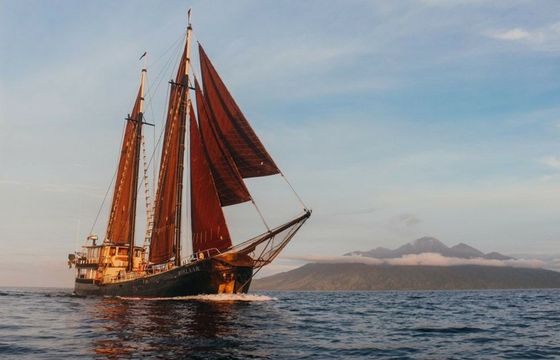 Staatskanal Dutch Schooner Adelaar