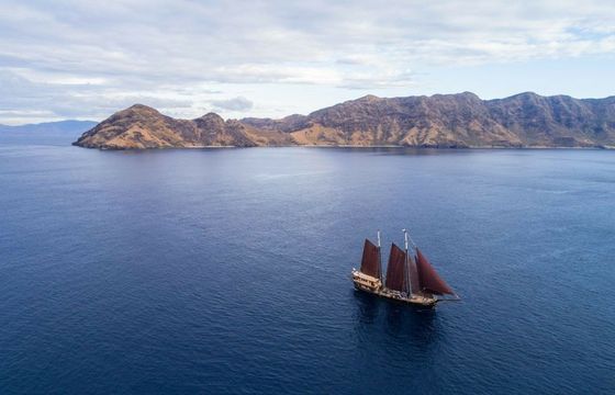 Staatskanal Dutch Schooner Adelaar