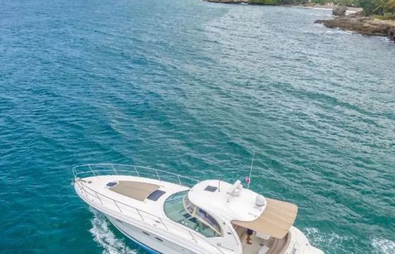 Sea Ray 42 Sea Ray