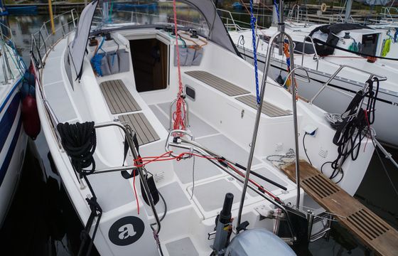 Sedna 30 Animusz
