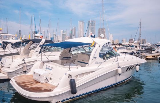 Sea Ray 425 Symphony