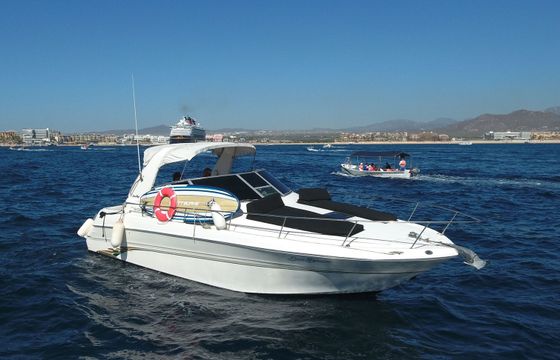 Sea Ray 330 Sea Breeze
