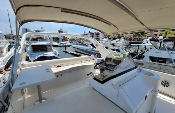 Sea Ray 440 Express Bridge Magic Moments