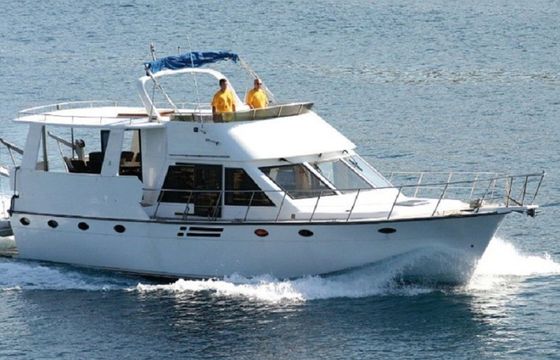 Staryacht 1940 Viva La Libertad