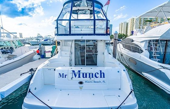 Sea Ray 47 Sedan Bridge Mr Munch