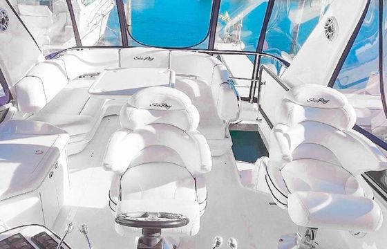 Sea Ray 47 Sedan Bridge Mr Munch