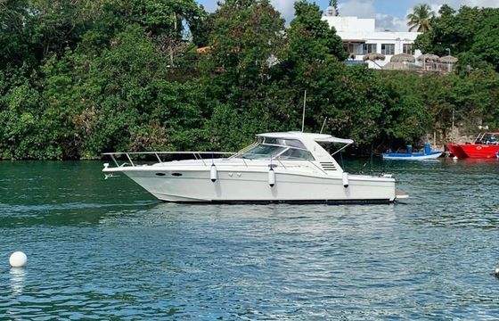 Sea Ray 370 Rocket Ship