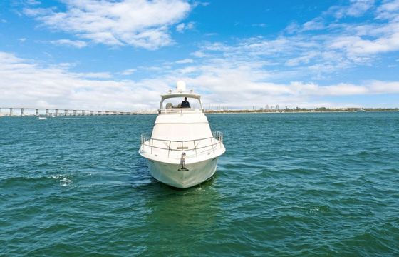 Sea Ray 480 Sedan Dream Life