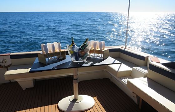 Sea Ray 39 Sirius