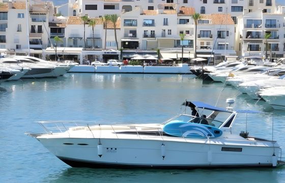 Sea Ray 39 Sirius