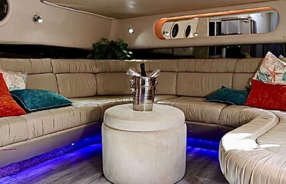 Sea Ray 50 Party