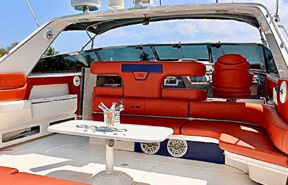 Sea Ray 50 Party