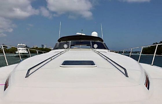 Sea Ray 50 Party