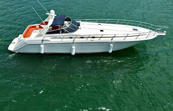 Sea Ray 50 Party