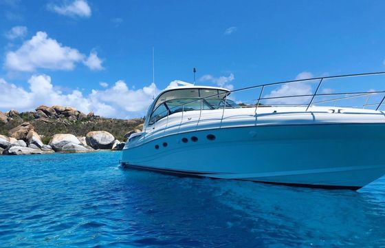 Sea Ray 500 Sundancer Joyce