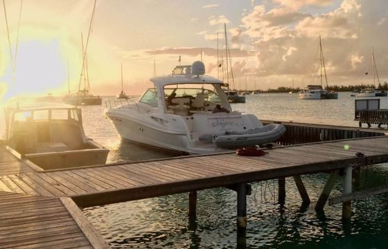 Sea Ray 500 Sundancer Joyce