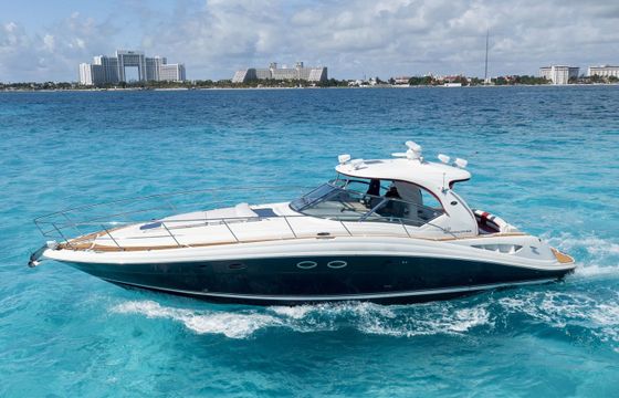 Sea Ray 420 Sundancer Humble