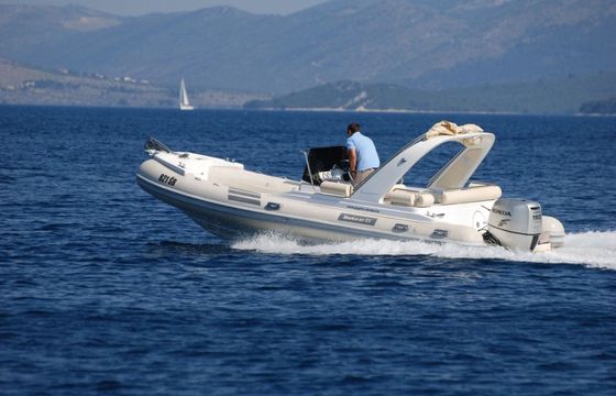 Shark 23 Shark
