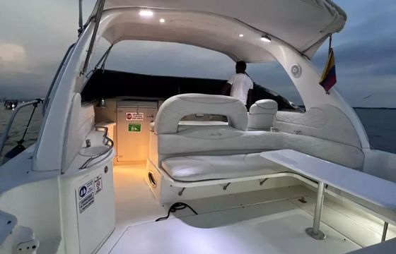 Sea Ray 440 After You