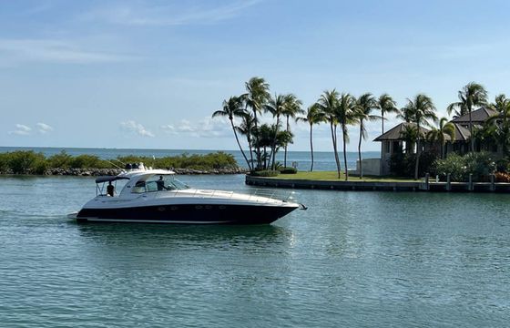 Sea Ray 53 Dreamer